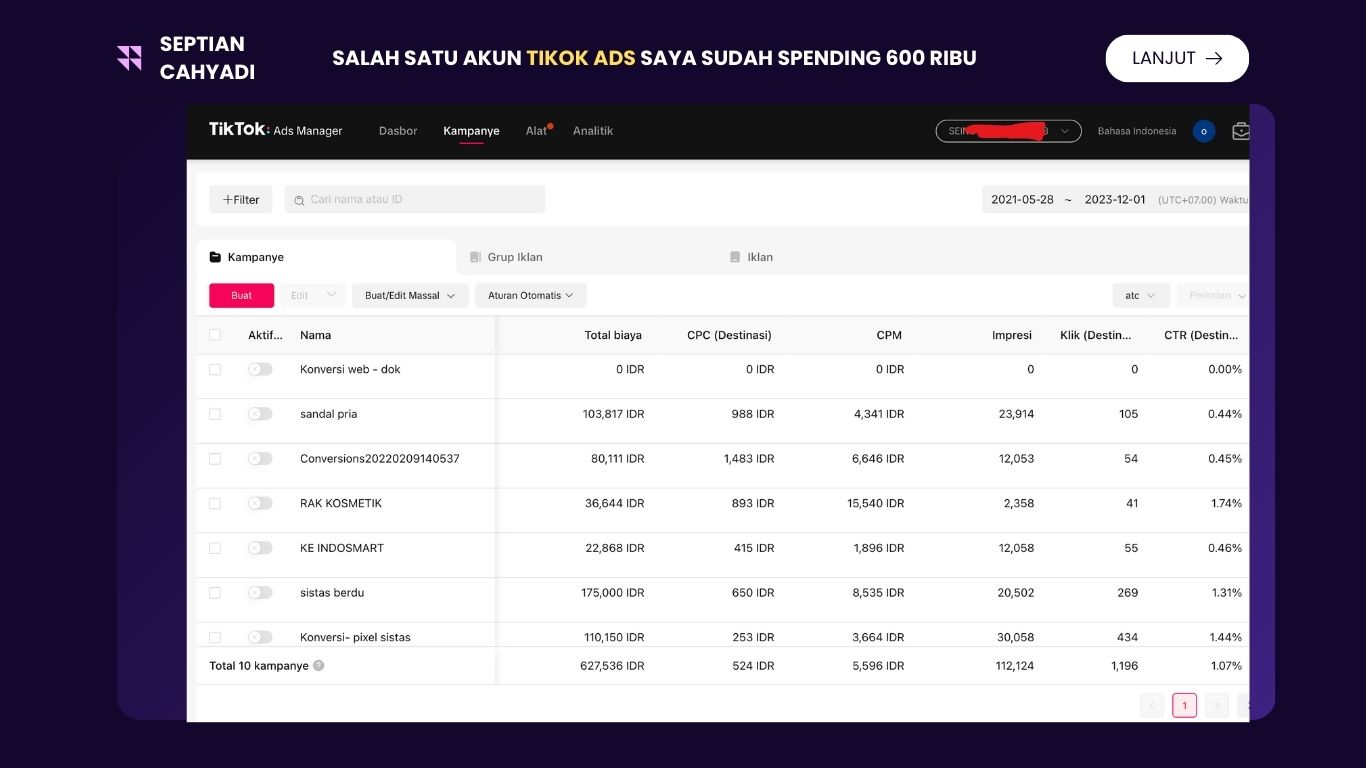 TikTok Ads Portfolio